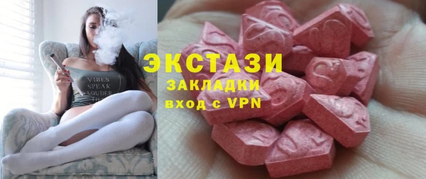 СК Гатчина