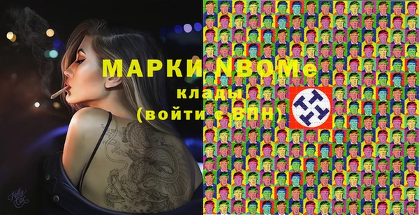 индика Галич